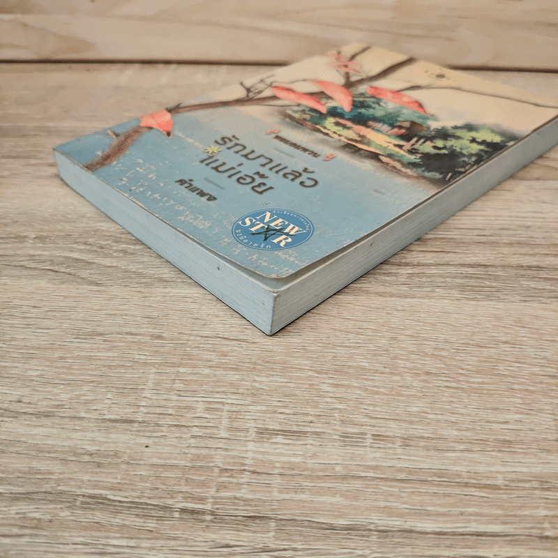 หอมลมหวน รักมาแล้วแม่เอ๊ย - คำแพง