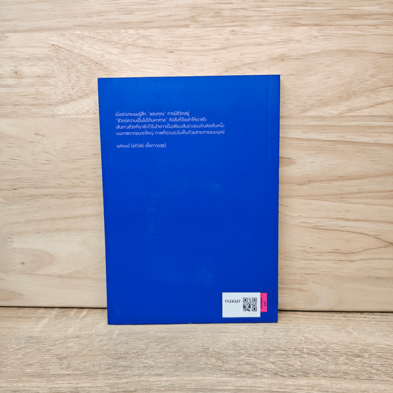 ตึก ตึก โป๊ะ - กุลธิดา กรงกิตติภักดี