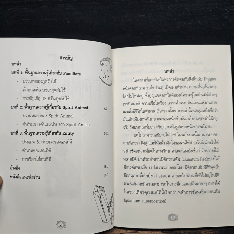 The Familiars ตำราภูต สปิริต เอนทิตี - Lily A