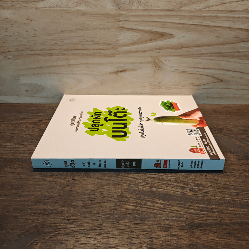 ปลูกผักบนโต๊ะ ปลูกในพื้นที่เล็ก ๆ ปลูกบนดาดฟ้า - ดร.ทวีศักดิ์ วิยะชัย