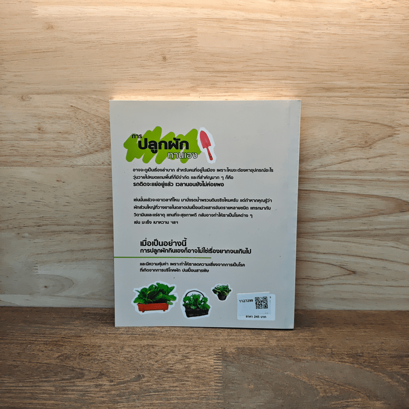 ปลูกผักบนโต๊ะ ปลูกในพื้นที่เล็ก ๆ ปลูกบนดาดฟ้า - ดร.ทวีศักดิ์ วิยะชัย