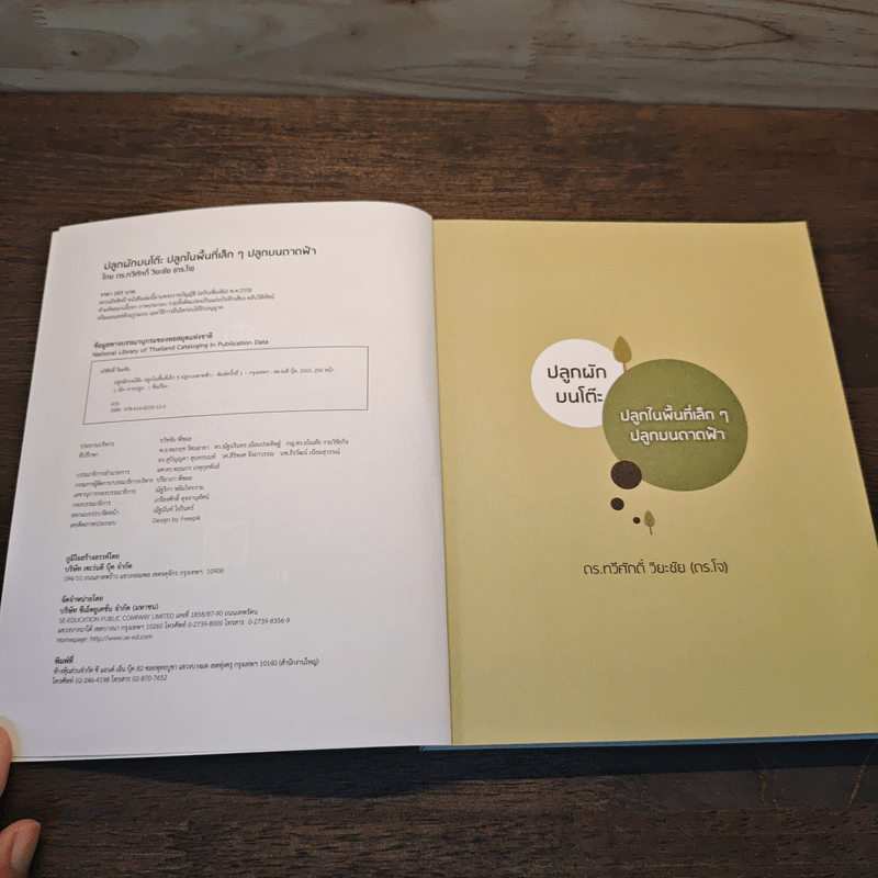 ปลูกผักบนโต๊ะ ปลูกในพื้นที่เล็ก ๆ ปลูกบนดาดฟ้า - ดร.ทวีศักดิ์ วิยะชัย