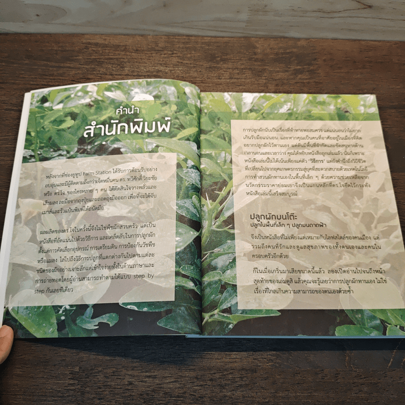 ปลูกผักบนโต๊ะ ปลูกในพื้นที่เล็ก ๆ ปลูกบนดาดฟ้า - ดร.ทวีศักดิ์ วิยะชัย