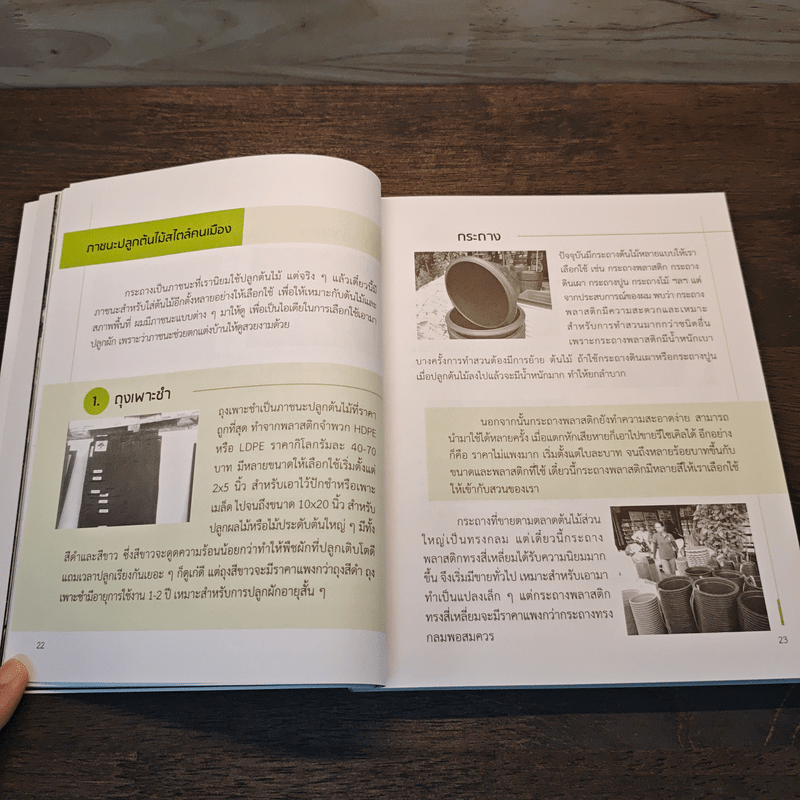 ปลูกผักบนโต๊ะ ปลูกในพื้นที่เล็ก ๆ ปลูกบนดาดฟ้า - ดร.ทวีศักดิ์ วิยะชัย