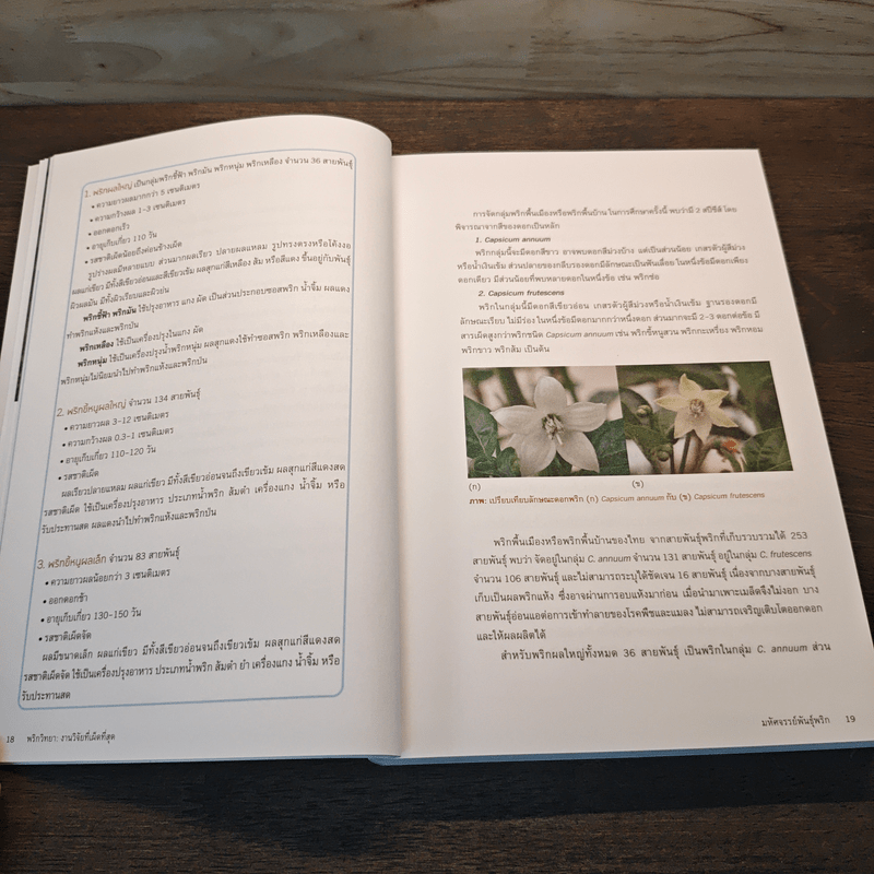 พริกวิทยา งงานวิจัยที่เผ็ดที่สุด : Prikpedia - อาทิตย์ เคนมี