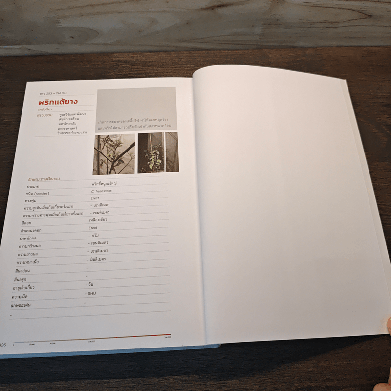 พริกวิทยา งงานวิจัยที่เผ็ดที่สุด : Prikpedia - อาทิตย์ เคนมี