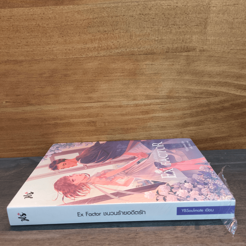 EX FACTOR ชนวนร้ายอดีตรัก - YBSoulmate