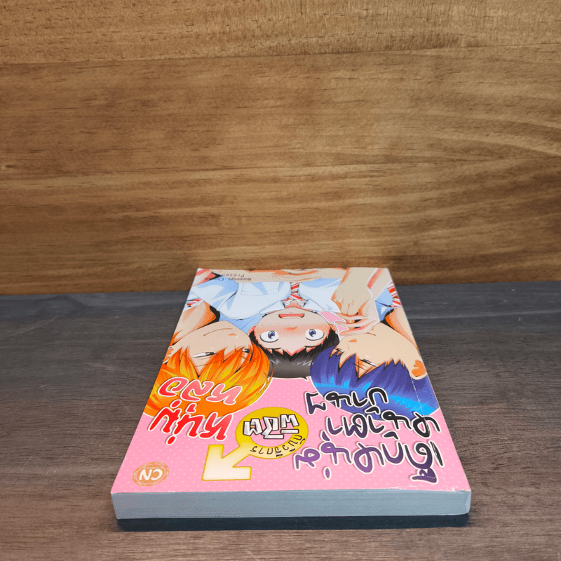 เด็กหนุ่มหน้าตาบ้านๆ กับวิธีการพิชิตหนุ่มหล่อ - Nonomiya Chiyoko 