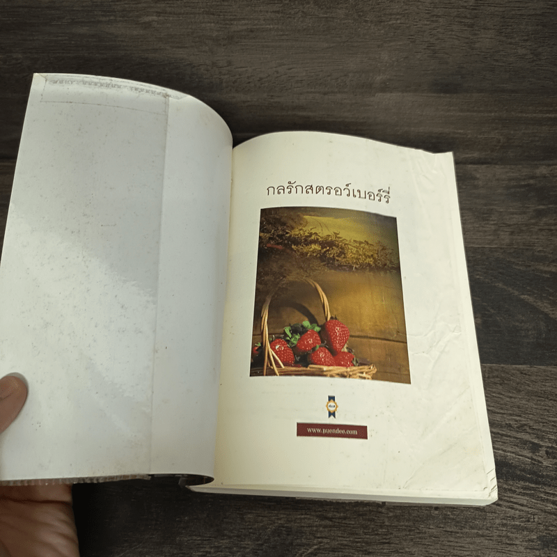 กลรักสตรอว์เบอร์รี่ - พงศกร