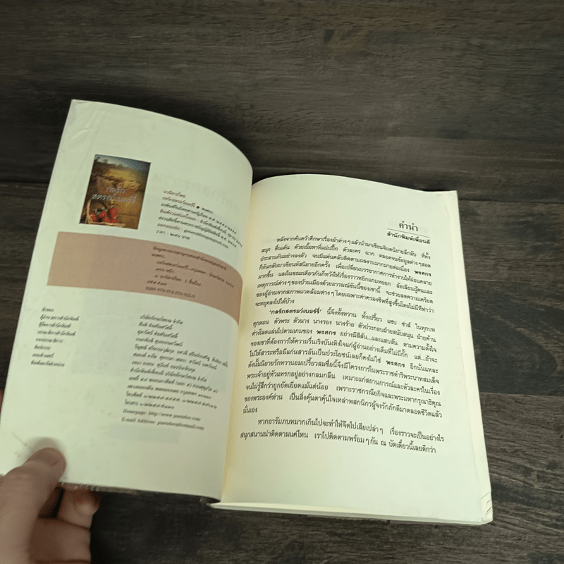 กลรักสตรอว์เบอร์รี่ - พงศกร