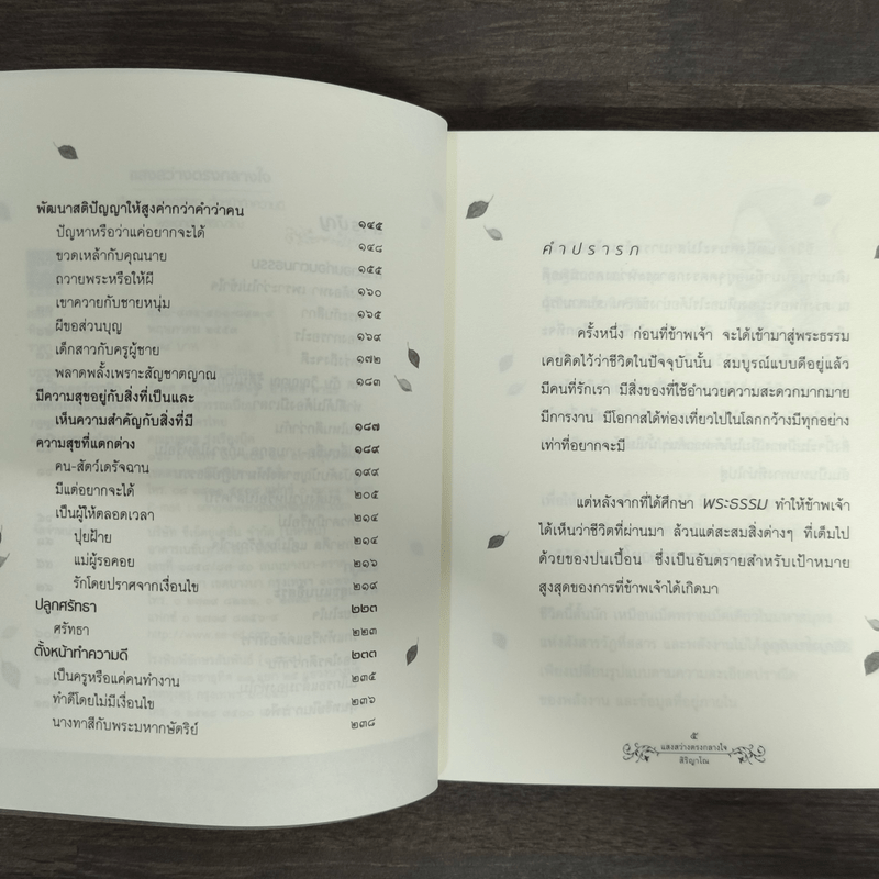 แสงสว่างกลางใจ - พระเอกชัย สิริญาโณ