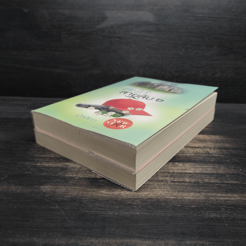 สะใภ้สายลับ 2 เล่มจบ - มัลลิกา