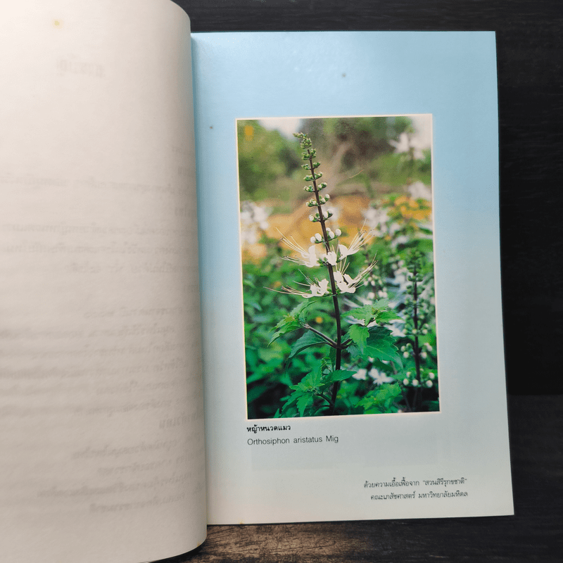 สมุนไพรเพื่อสุขภาพ รวมบทความคัดสรรจากมติชนสุดสัปดาห์ 1