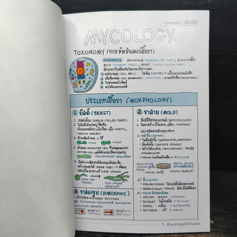 Short note mycology & Viruses