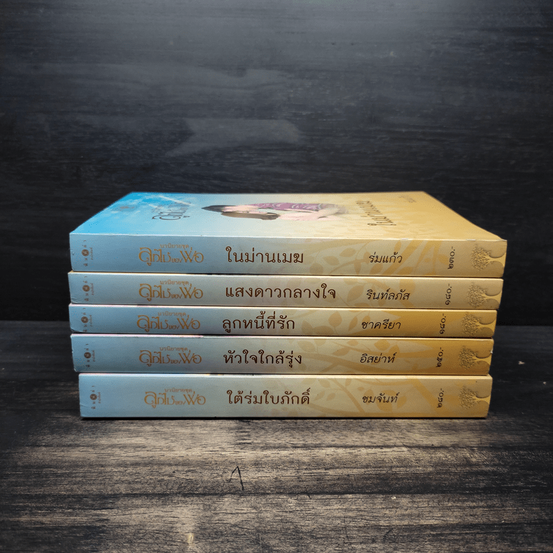 นวนิยายชุด ลูกไม้ของพ่อ 5 เล่มจบ