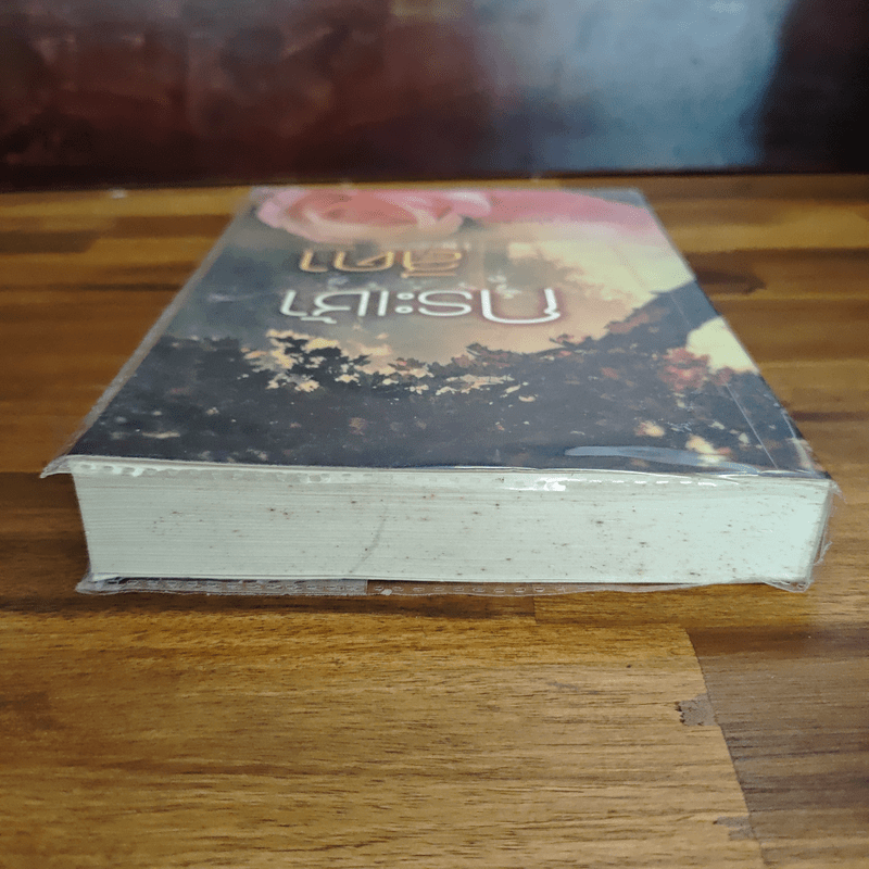 กระเช้าสีดา - กฤษณา อโศกสิน