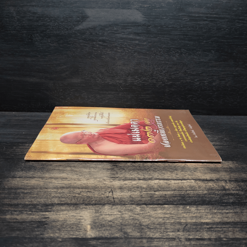 แผ่เมตตา 132 จบ ปลดหนี้เวรกรรม - ศักดิ์สิทธิ์ พันธุ์สัตย์