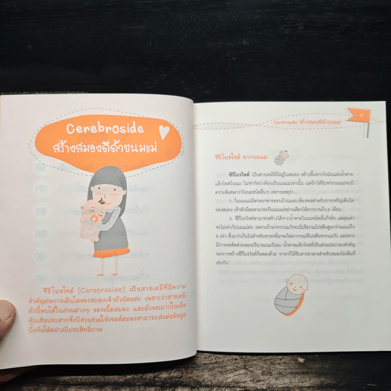 Brain guide ปลุกพลังสมอง (วัยแรกเกิด - 1 ปี)