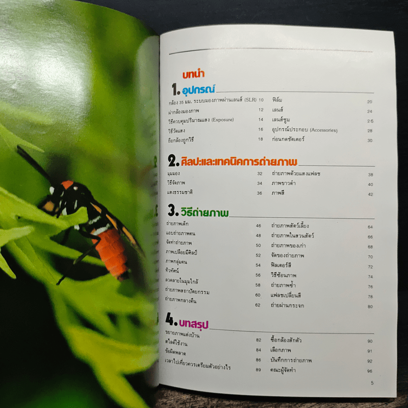 มือใหม่ถ่ายภาพ เรียนถ่ายภาพด้วยตนเอง - ทอม เชื้อวิวัฒน์