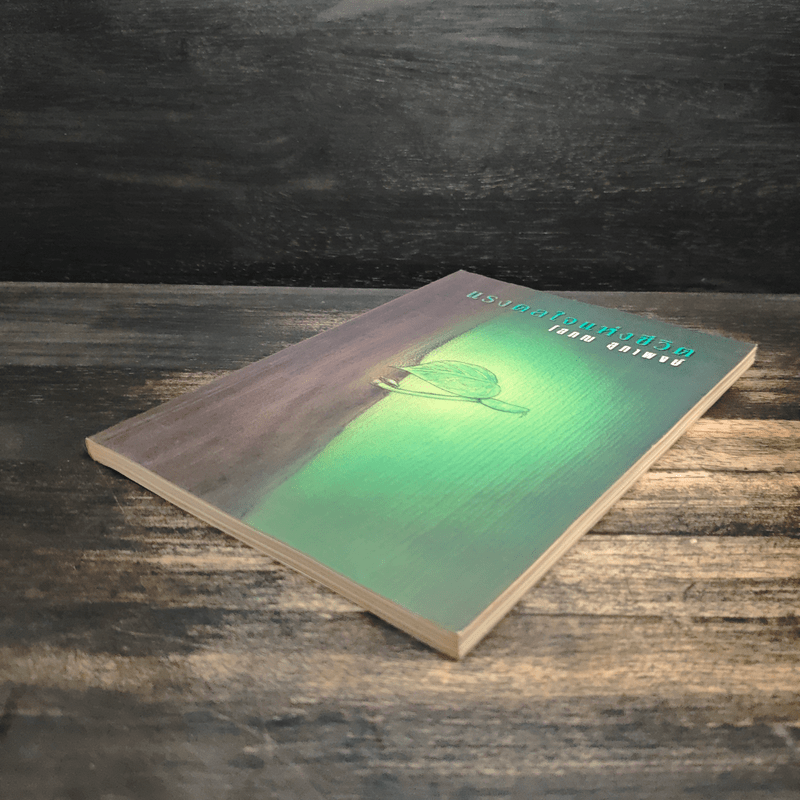 แรงดลใจแห่งชีวิต - โสภณ สุภาพงษ์