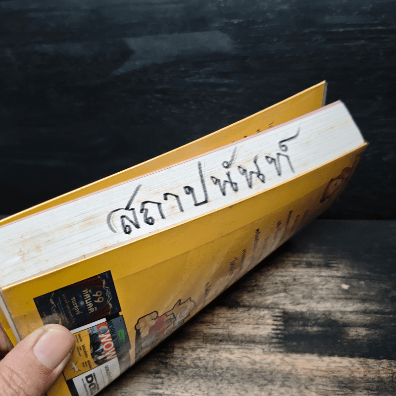 ออมก่อนใช้ แผนการเงินแบบใหม่ใส่ใจแล้วรวยเร็ว - บุญสูง ทิพย์รัตน์