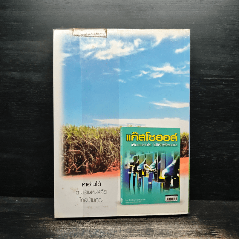 เปลี่ยนใจใช้แก๊ส ตอน คู่ใจคนใช้เครื่องเบนซิน - สงกรานต์ สีมา