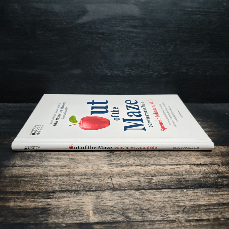 Out of the Maze ออกจากเขาวงกตได้แล้ว - Spencer Johnson