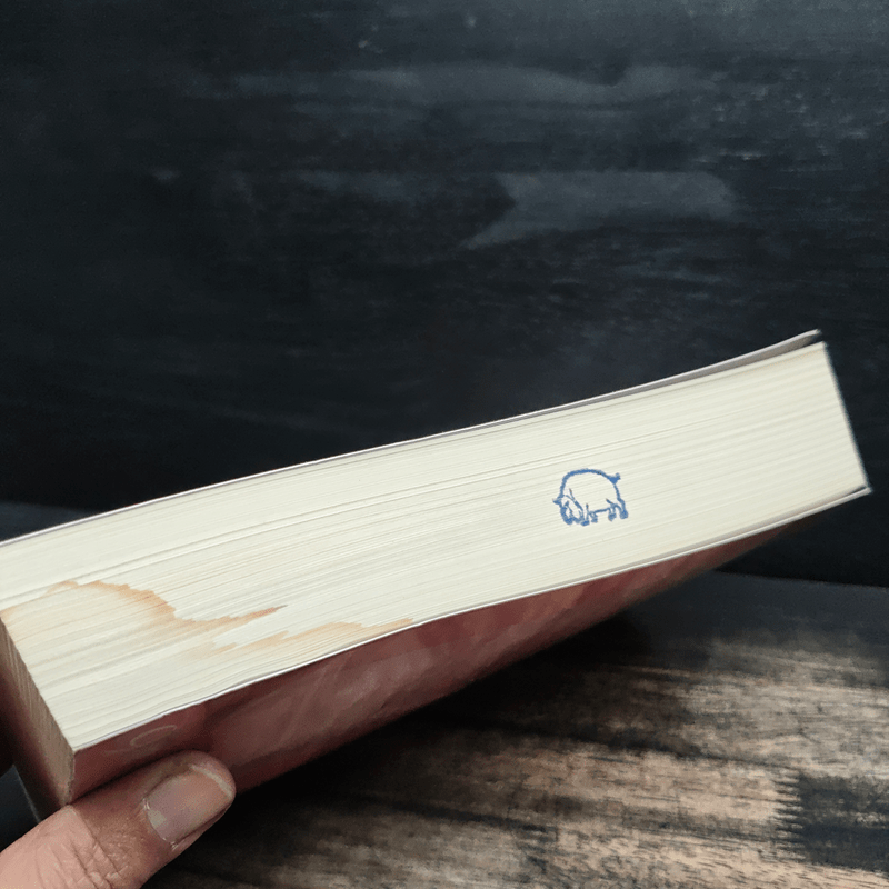 รอยรักหักเหลี่ยมตะวัน - ณารา