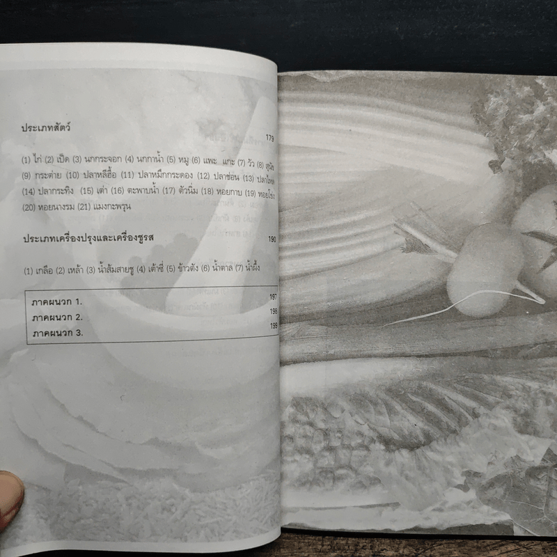 อาหารที่เป็นยา ตำรา อาหารยาจากปักกิ่งโภชนาบำบัด - ไฉ้ จิ่ง เฟิ่ง