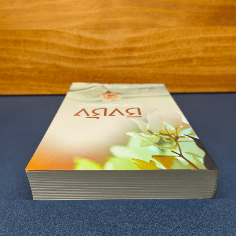 ชิงชัง - จุฬามณี