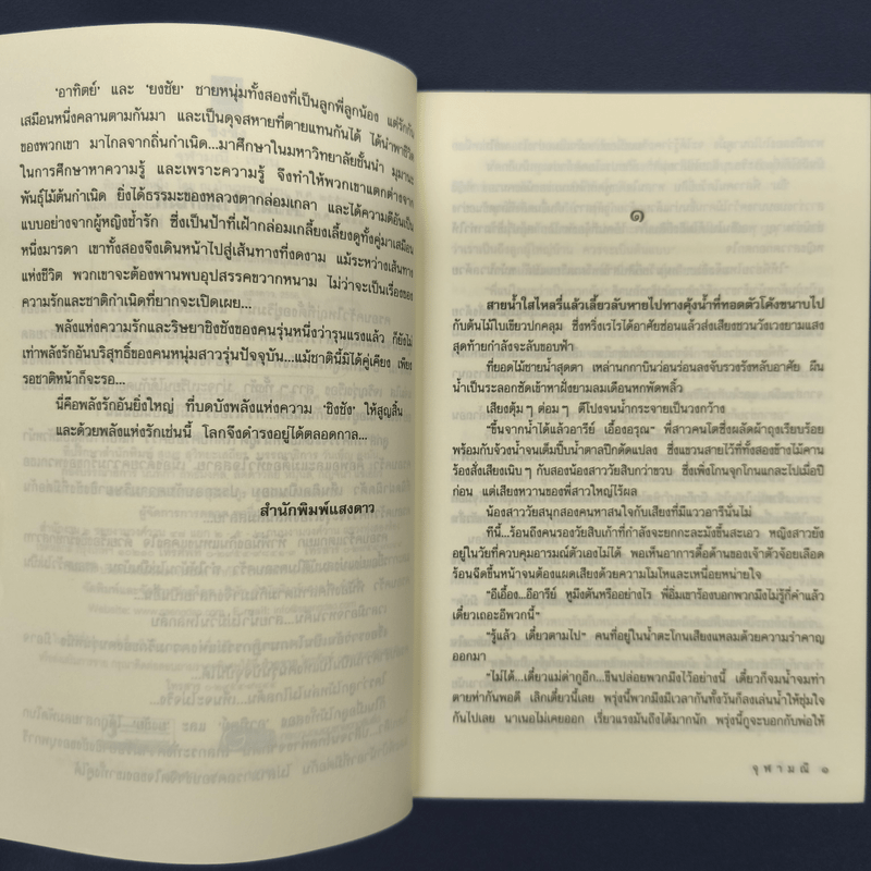 ชิงชัง - จุฬามณี