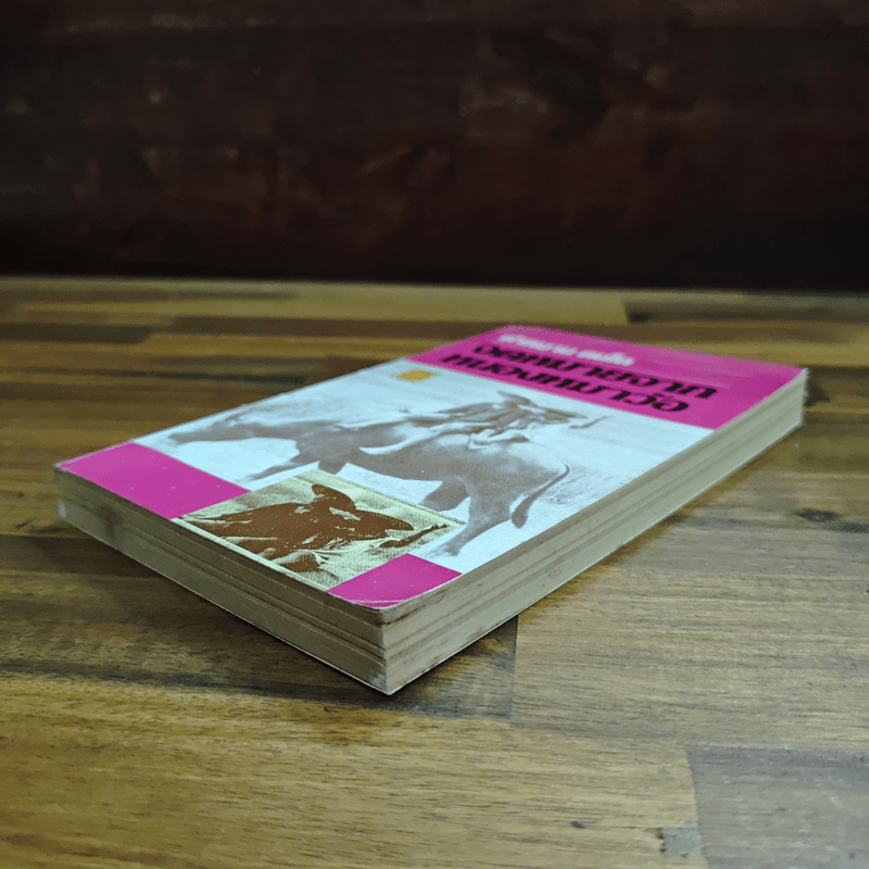 จดหมายจากหนองหมาว้อ - คำหมาน คนไค