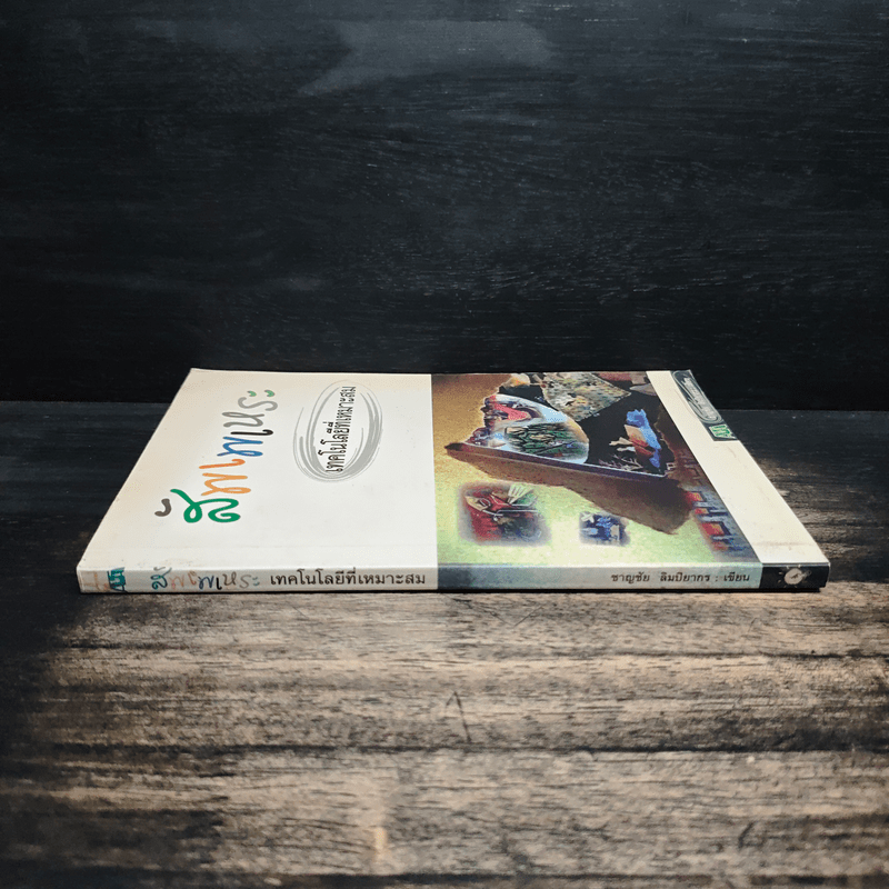 สัพเพเหระ เทคโนโลยีที่เหมาะสม - ชาญชัย ลิมปิยากร