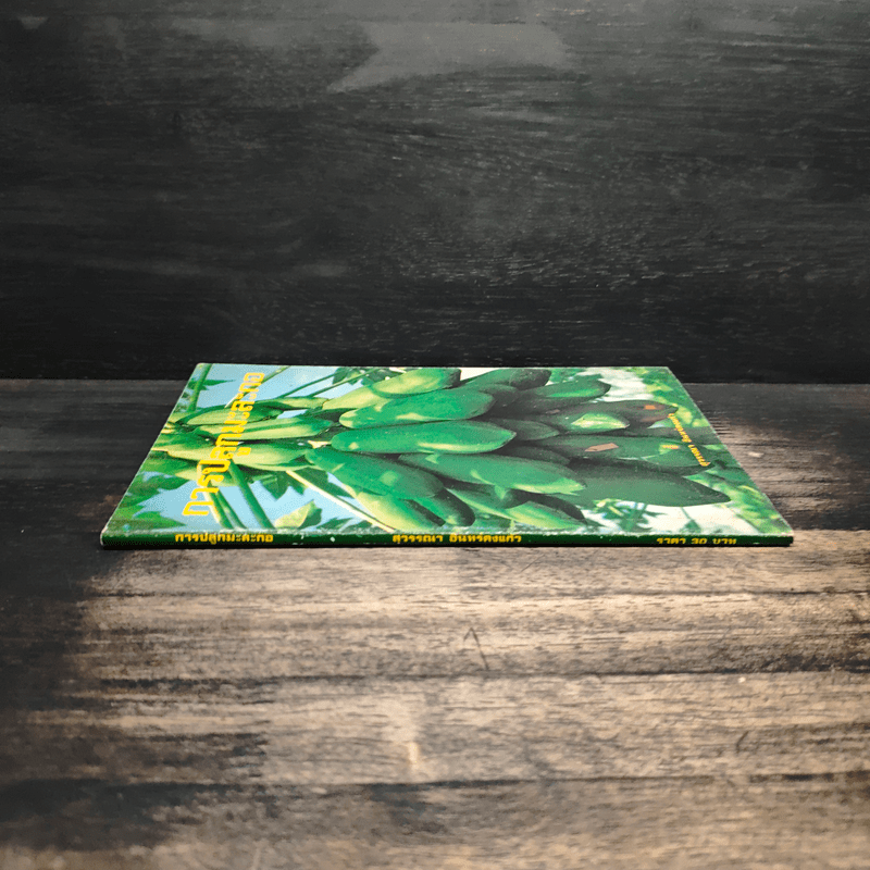 การปลูกมะละกอ