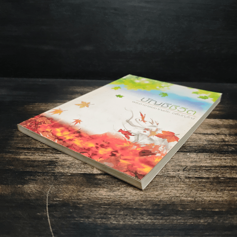 บัญชีชีวิต - พระอาจารย์ชาญชัย อธิปญฺโญ