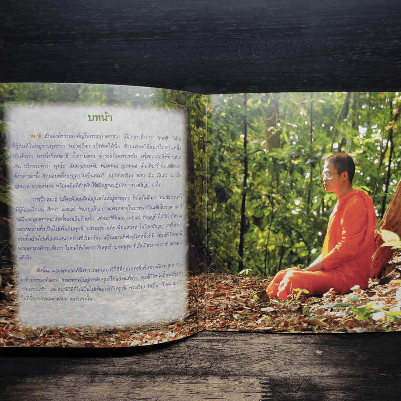 สัมมาสมาธิ ลมหายใจแห่งการตื่นรู้ - ว.วชิรเมธี