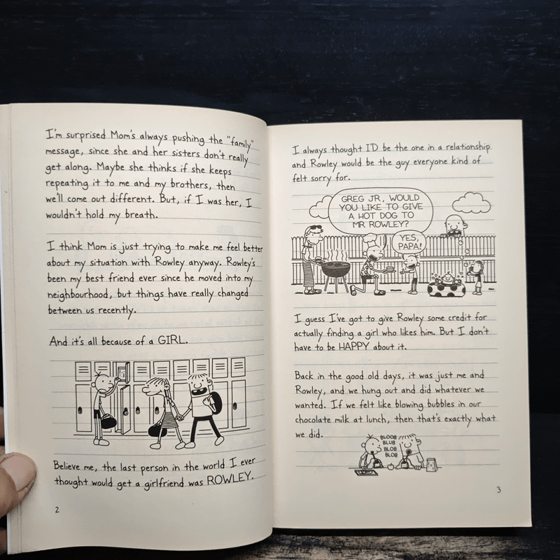 Diary of a Wimpy Kid 8 Hard Luck - Jeff Kinney