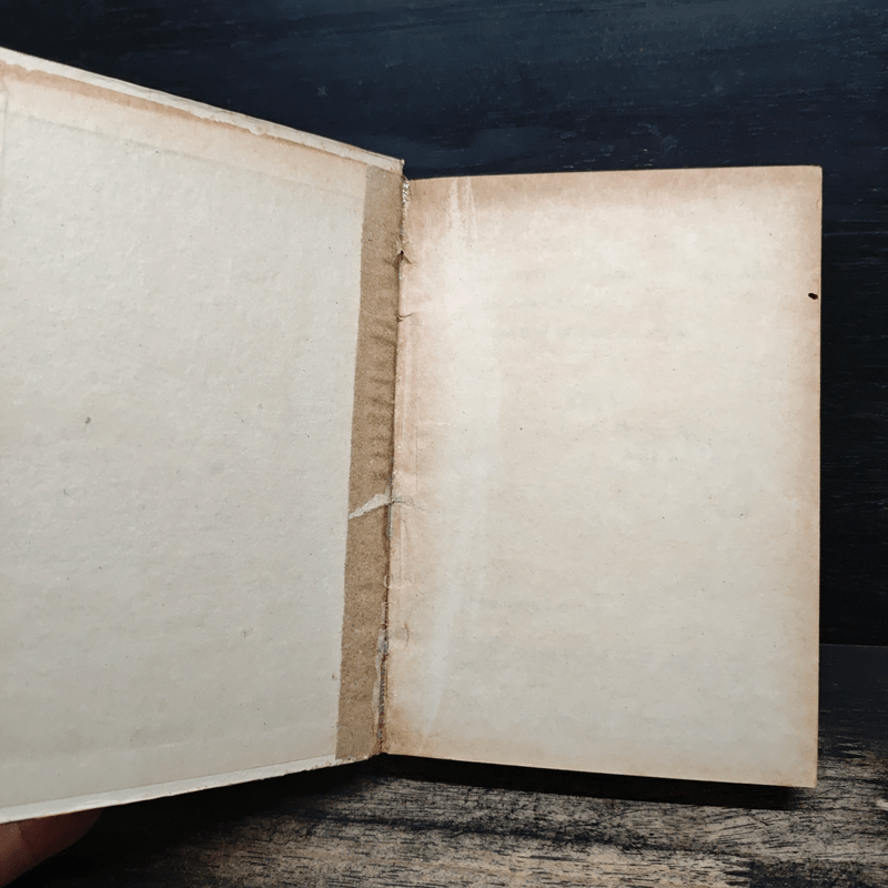 ไทรโศก เล่ม 1 - จำลักษณ์