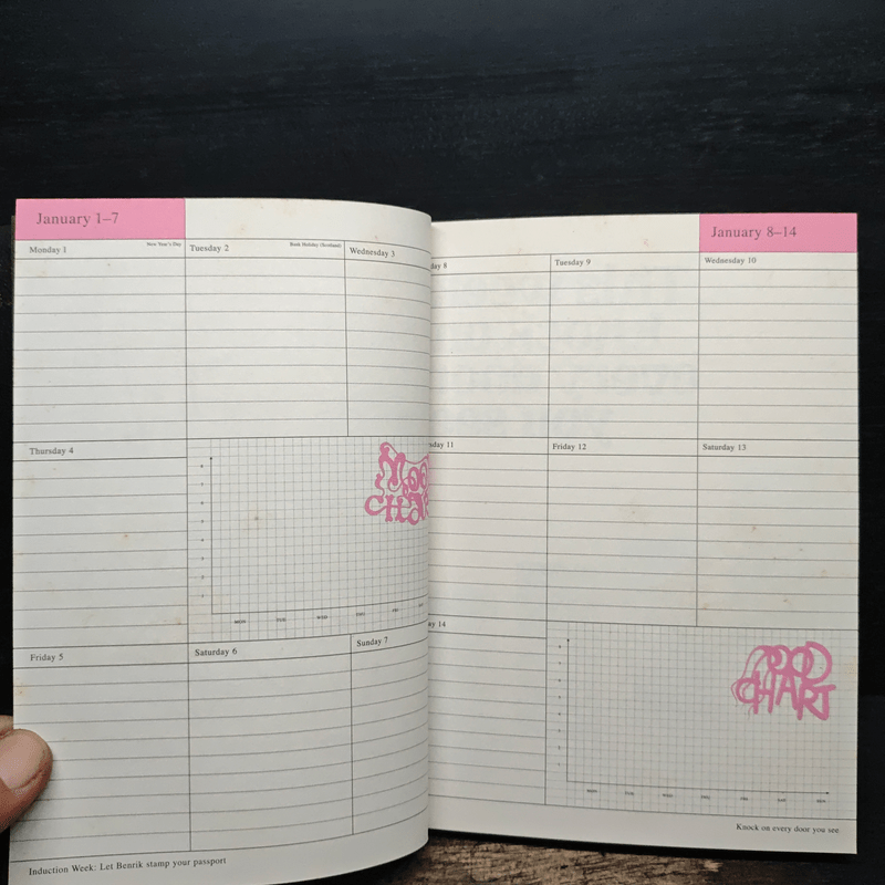 This Diary Will Change Your Life 2007 - Benrik Ltd