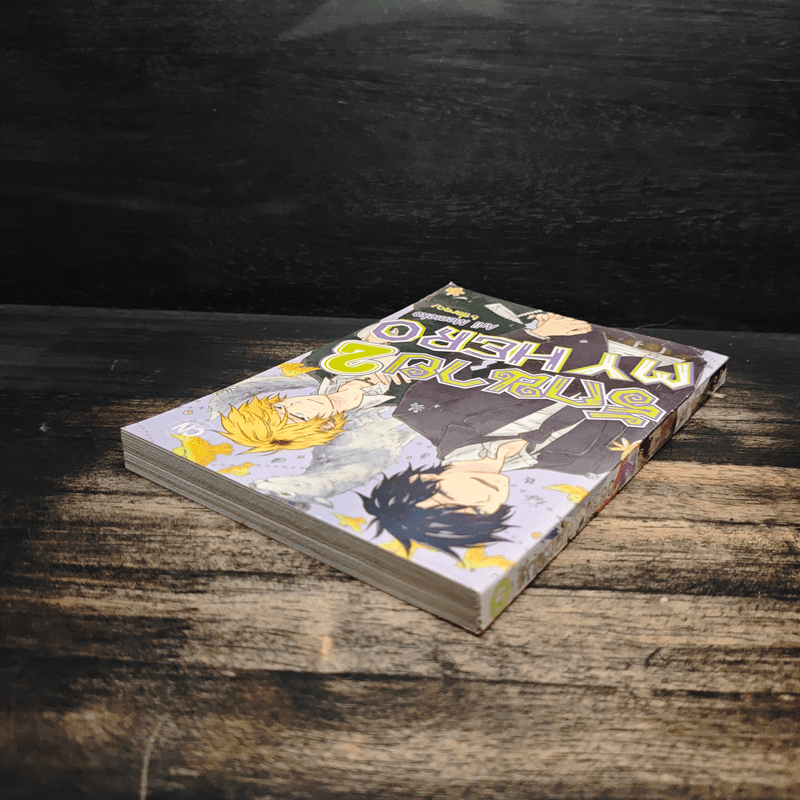 รักนาย My Hero เล่ม 2 - Arii Memeko