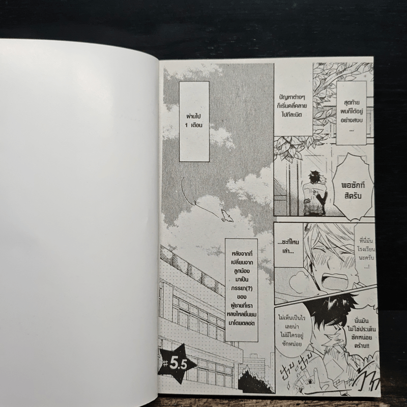 รักนาย My Hero เล่ม 2 - Arii Memeko