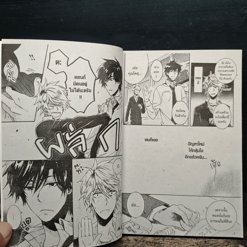 รักนาย My Hero เล่ม 2 - Arii Memeko