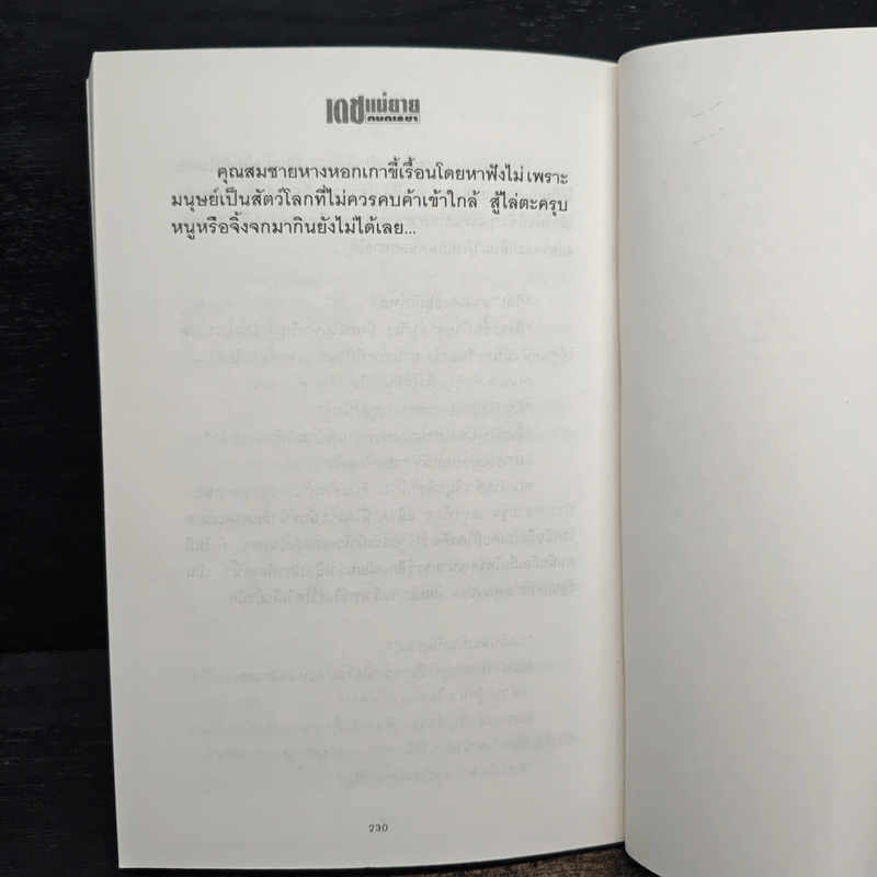 เดชแม่ยาย - กนกเรขา