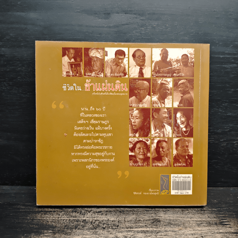 ชีวิตใน...ข้าแผ่นดิน