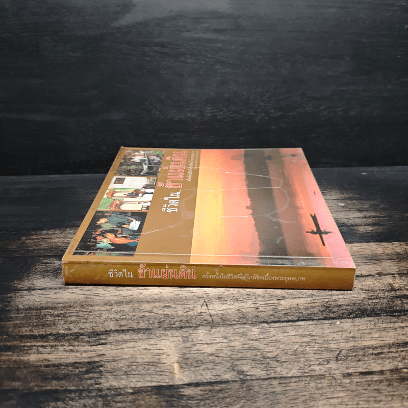 ชีวิตใน...ข้าแผ่นดิน