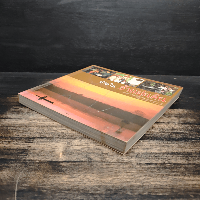 ชีวิตใน...ข้าแผ่นดิน