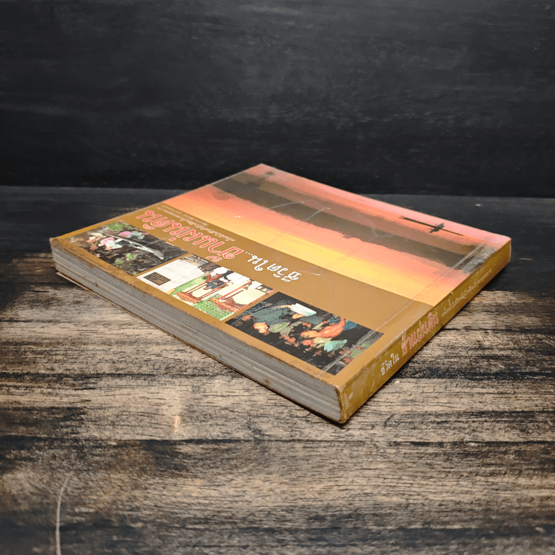 ชีวิตใน...ข้าแผ่นดิน