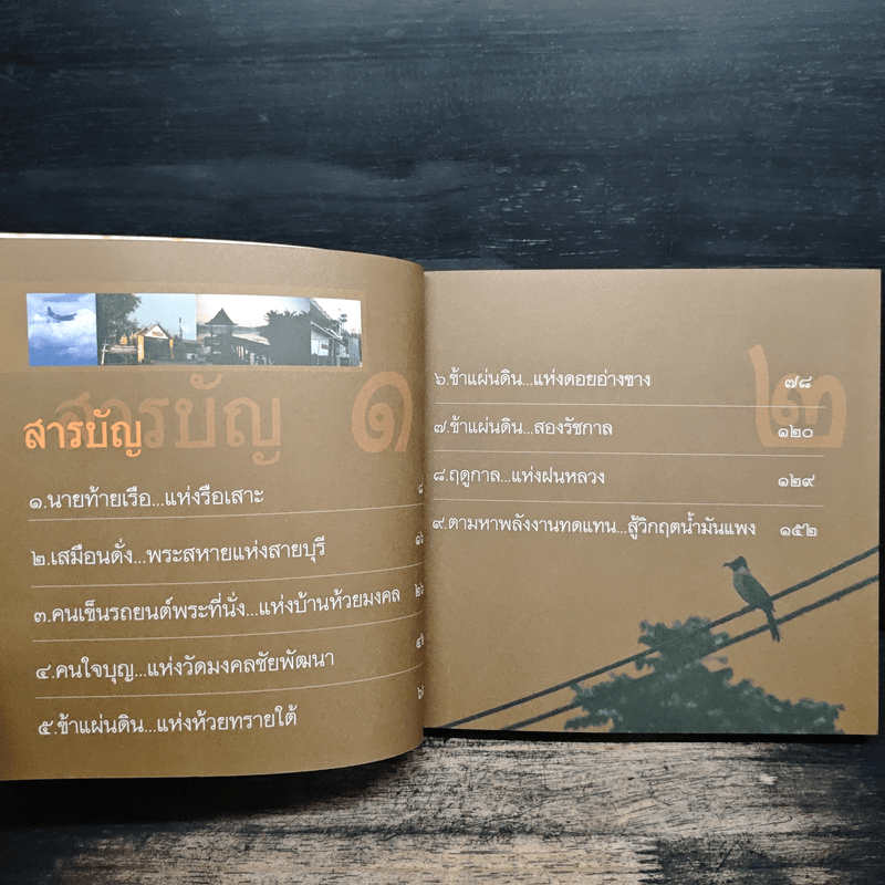 ชีวิตใน...ข้าแผ่นดิน