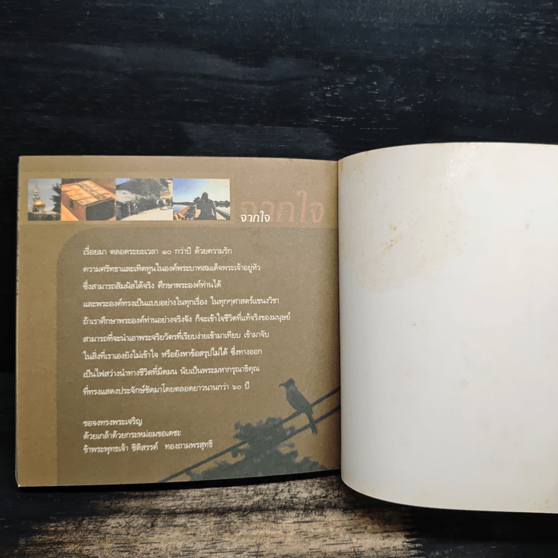 ชีวิตใน...ข้าแผ่นดิน