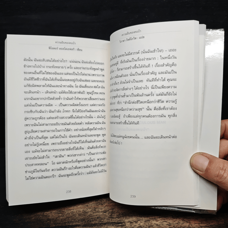 The Madman "คนบ้า" - วิภาดา กิตติโกวิท